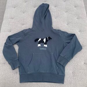 EUC LEMIEUX MINI HOODIE PAINT HORSE SWEATSHIRT WITH MANE AND TAIL